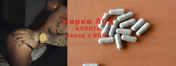 индика Чегем
