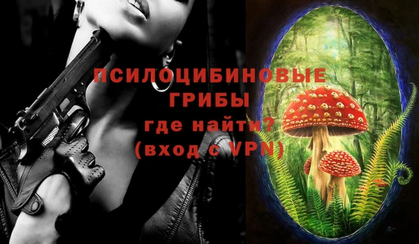 прущие крисы Бугульма