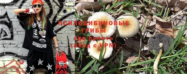прущие крисы Бугульма